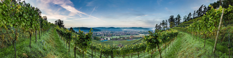 Winterthur Rebberg